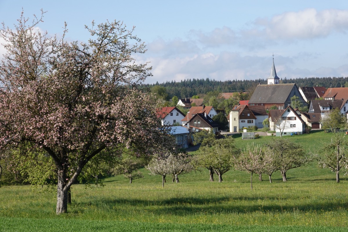 Blick auf Durrweiler